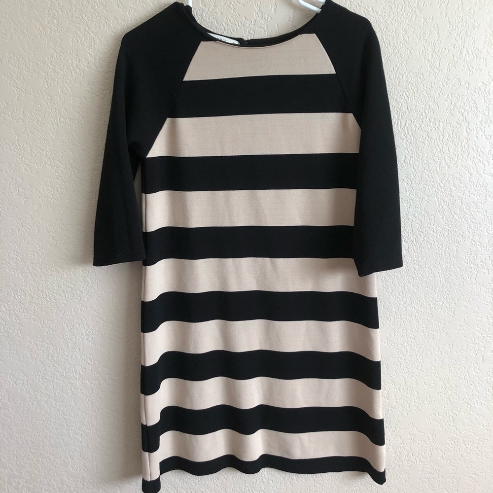 Zara Knit Dress